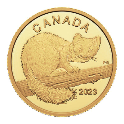 Pure Gold Coin - The Curious Marten Reverse