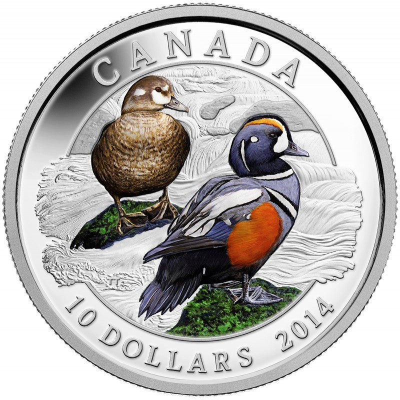 Fine Silver Coin with Colour - Harlequin Duck Reverse