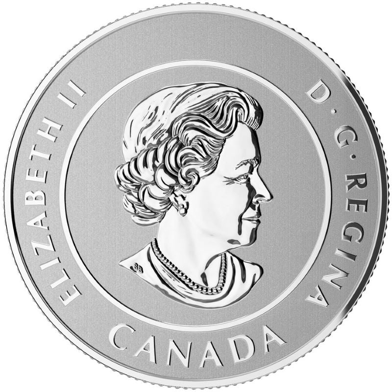 Fine Silver Coin with Colour - True North Obverse