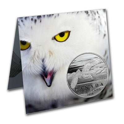 Fine Silver Coin - Snowy Owl Packaging