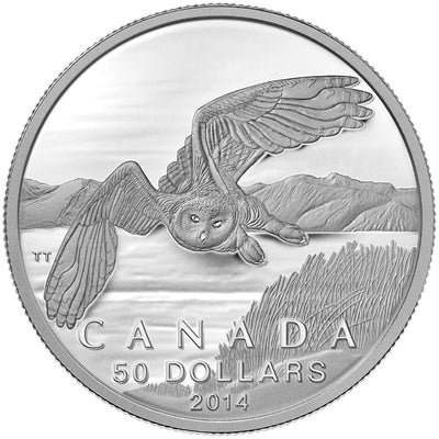 Fine Silver Coin - Snowy Owl Reverse