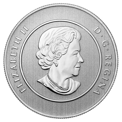 Fine Silver Coin - Canada Goose Obverse