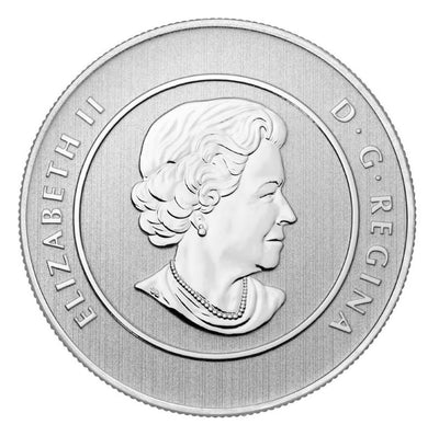Fine Silver Coin - Polar Bear Obverse