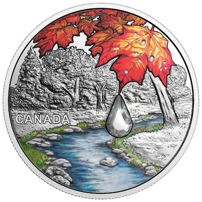 Fine Silver Coin with Colour and Swarovski Crystal - Jewel of the Rain: Sugar Maple Leaves Reverse