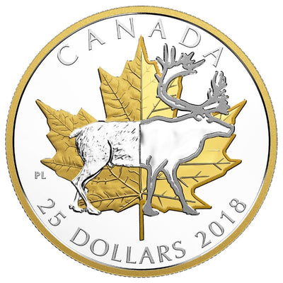 Fine Silver Piedfort Coin with Gold Plating - Timeless Icons: Caribou Reverse