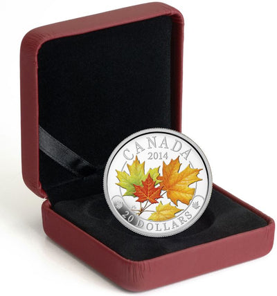 Fine Silver Coin with Colour - Majestic Maple Leaves with Colour Packaging