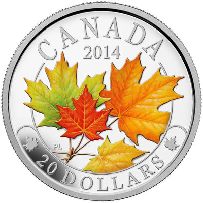 Fine Silver Coin with Colour - Majestic Maple Leaves with Colour Reverse