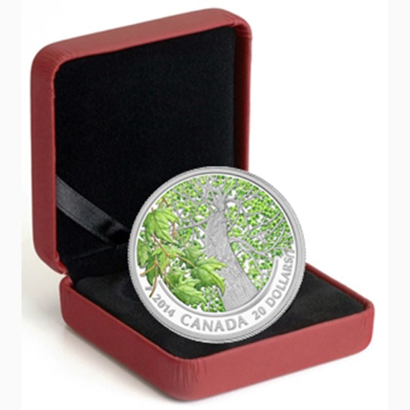 Fine Silver Coin with Colour - Maple Canopy: Spring Splendor Packaging