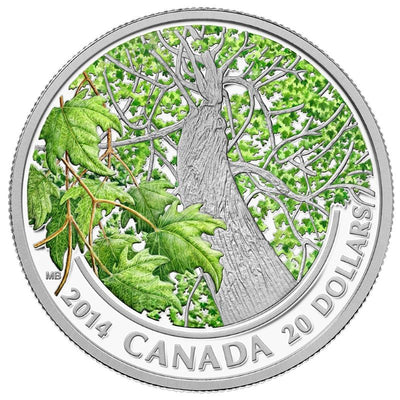 Fine Silver Coin with Colour - Maple Canopy: Spring Splendor Reverse
