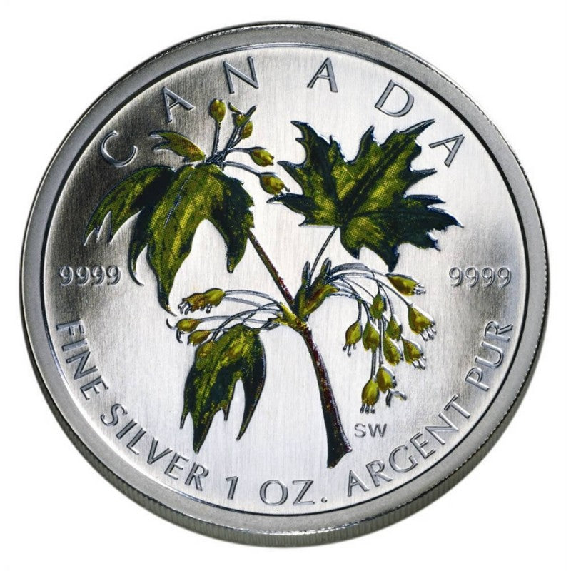 Fine Silver Coin with Colour - Maple Leaf: Summer Reverse