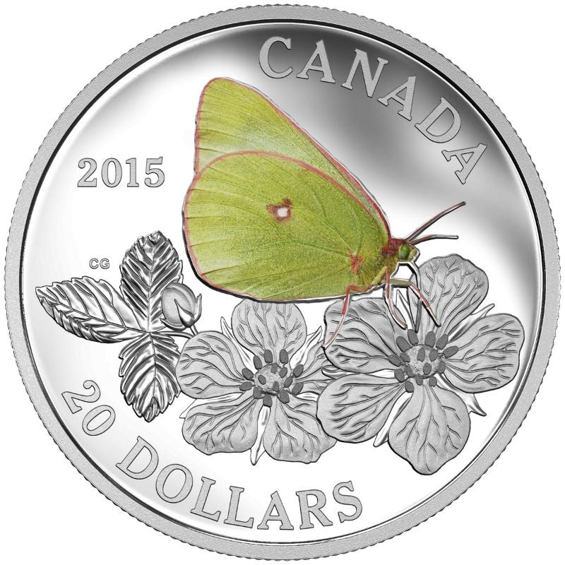 Fine Silver Coin with Colour - Butterflies of Canada: Giant Sulfur Reverse