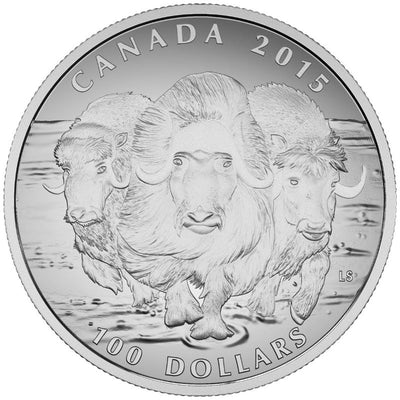 Fine Silver Coin - The Muskox: Ancient Dweller of the High Arctic Reverse