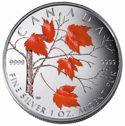 Fine Silver Coin with Colour - Maple Leaf In Winter Reverse