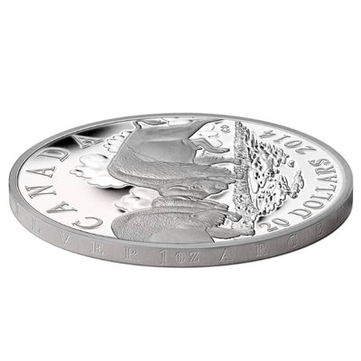 Fine Silver Coin - The Bison: The Fight Edge