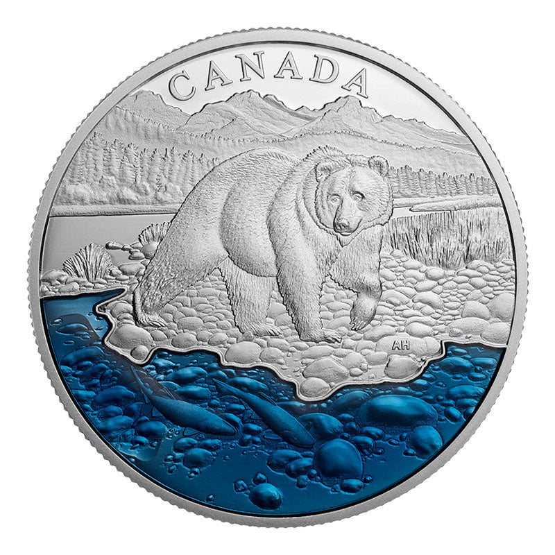 Fine Silver Coin with Colour - Iconic Canada: The Grizzly Bear Reverse