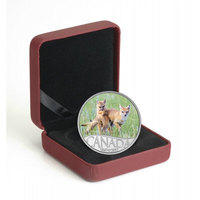 Fine Silver Coin with Colour - Celebrating Canada's 150th: Wild Swift Fox and Pups Packaging