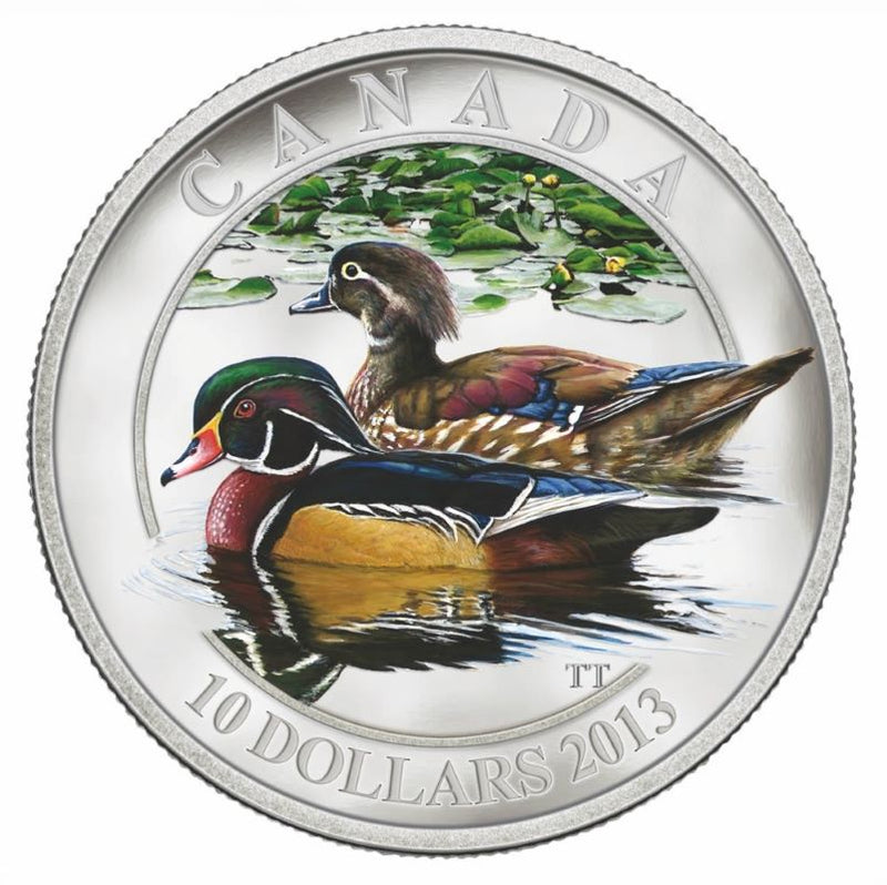Fine Silver Coin with Colour - Wood Duck Reverse