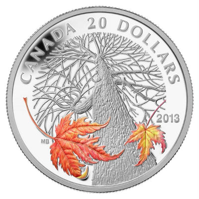 Fine Silver Coin with Colour - Canadian Maple Canopy: Autumn Reverse