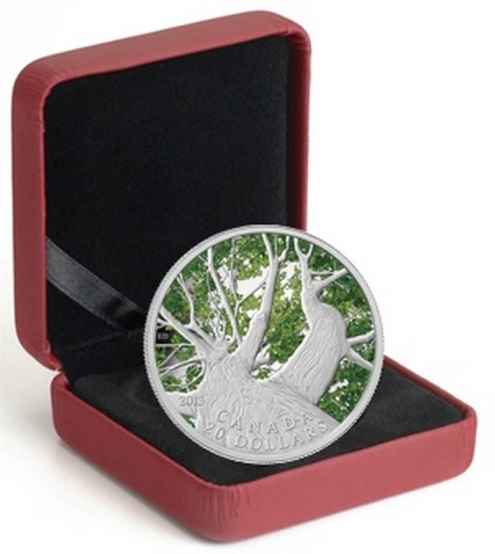 Fine Silver Coin with Colour - Canadian Maple Canopy: Spring Packaging