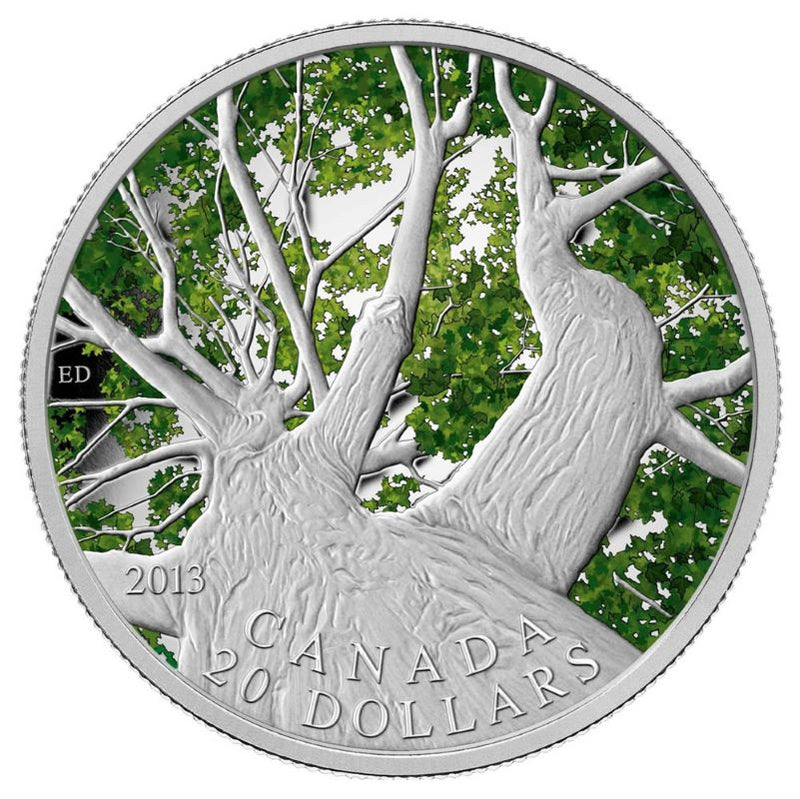 Fine Silver Coin with Colour - Canadian Maple Canopy: Spring Reverse