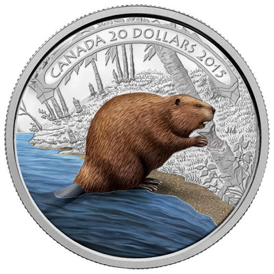 Fine Silver Coin with Colour - Beaver At Work Reverse