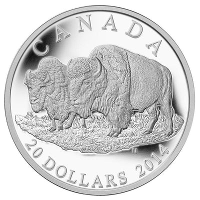 Fine Silver Coin - The Bison: The Bull and His Mate Reverse