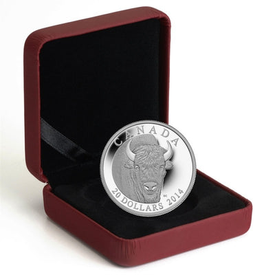 Fine Silver Coin - The Bison: A Portrait Packaging