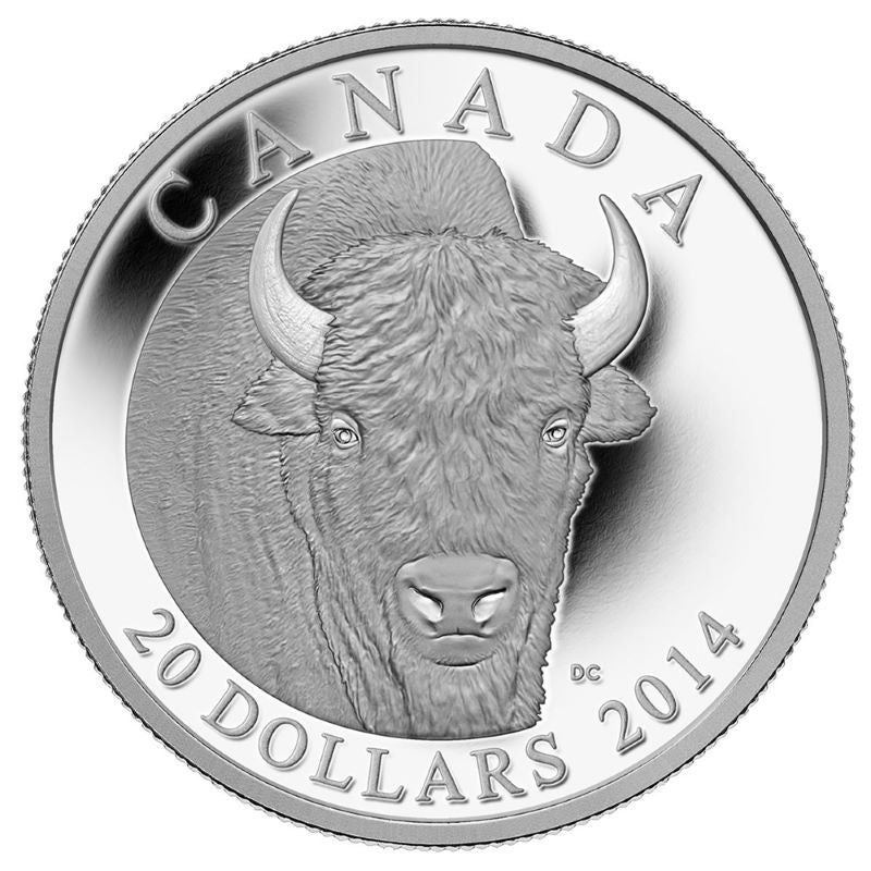 Fine Silver Coin - The Bison: A Portrait Reverse