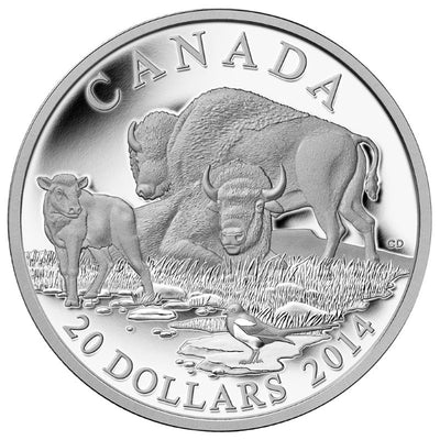 Fine Silver Coin - The Bison: A Family at Rest Reverse