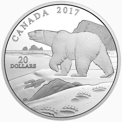 Fine Silver Coin - Paw Prints On The Edge: Polar Bear Reverse