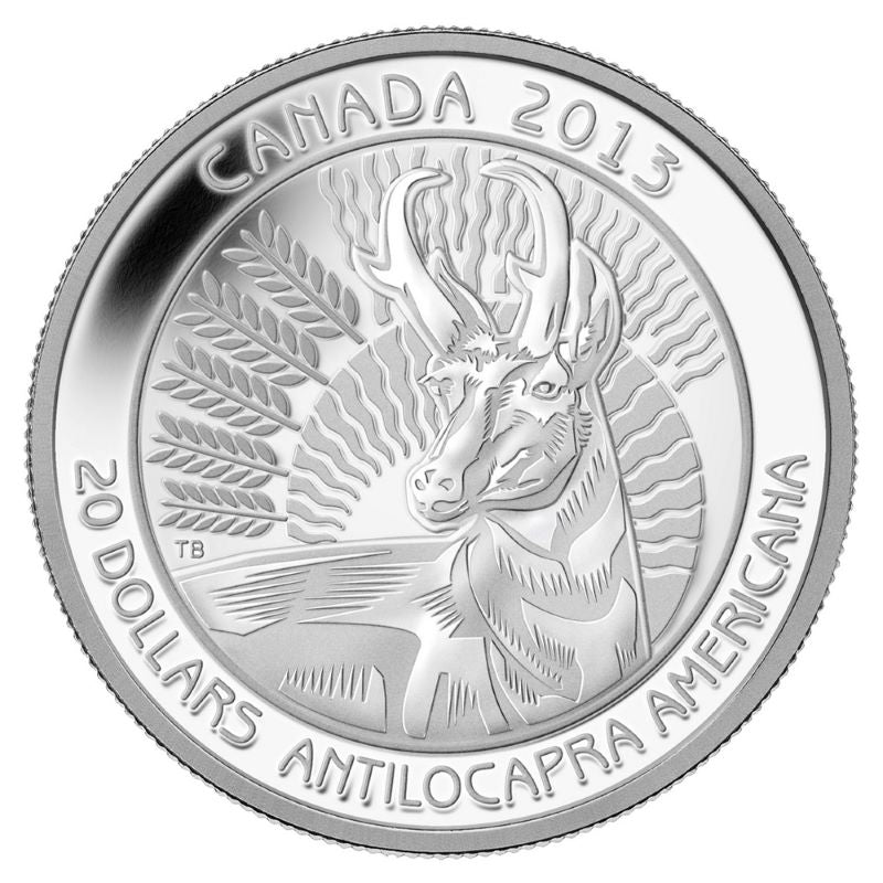 Fine Silver Coin - Untamed Canada: The Pronghorn Reverse