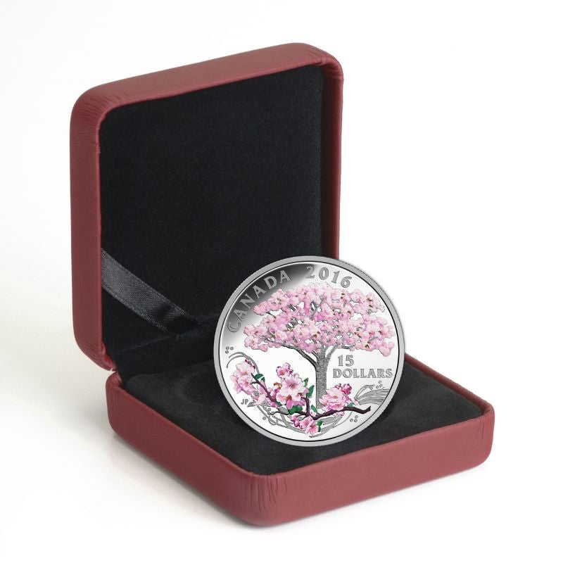 Fine Silver Coin with Colour - Cherry Blossoms Packaging