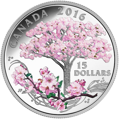 Fine Silver Coin with Colour - Cherry Blossoms Reverse