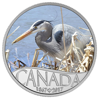 Fine Silver 13 Coin Set with Colour - Celebrating Canada's 150th: Great Blue Heron Reverse