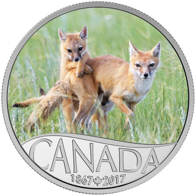 Fine Silver 13 Coin Set with Colour - Celebrating Canada's 150th: Wild Swift Fox and Pups Reverse