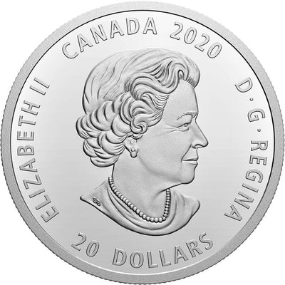 Fine Silver Coloured Coin - Xhuwaji, Haida Grizzly Bear Obverse