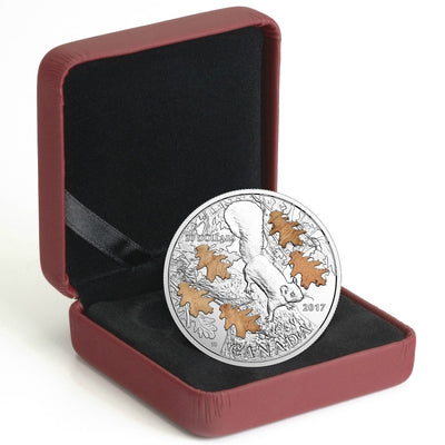 Fine Silver Coin with Wood Element - The Nutty Squirrel and the Mighty Oak Packaging
