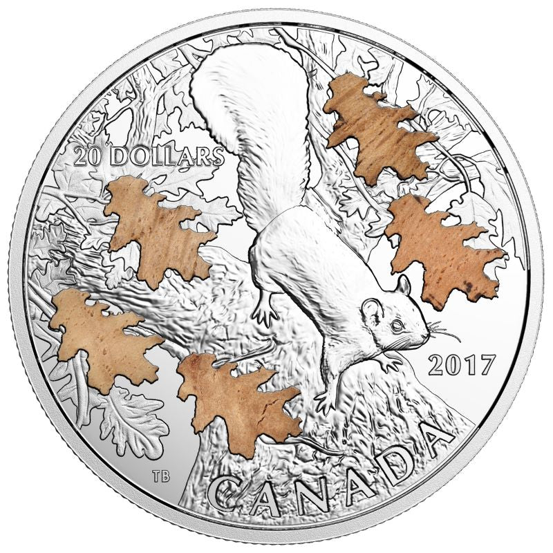 Fine Silver Coin with Wood Element - The Nutty Squirrel and the Mighty Oak Reverse
