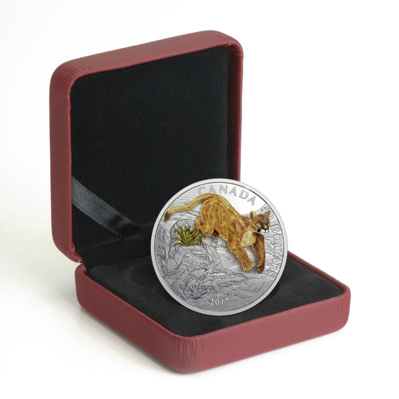 Fine Silver Coin with Colour - Three-Dimensional Leaping Cougar Packaging