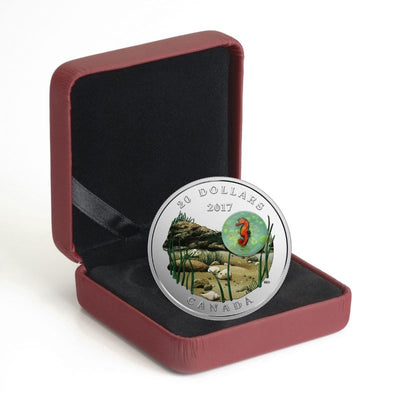 Fine Silver Coin with Colour and Glass Element - Under the Sea: Seahorse  Packaging