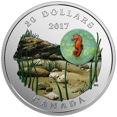 Fine Silver Coin with Colour and Glass Element - Under the Sea: Seahorse Reverse