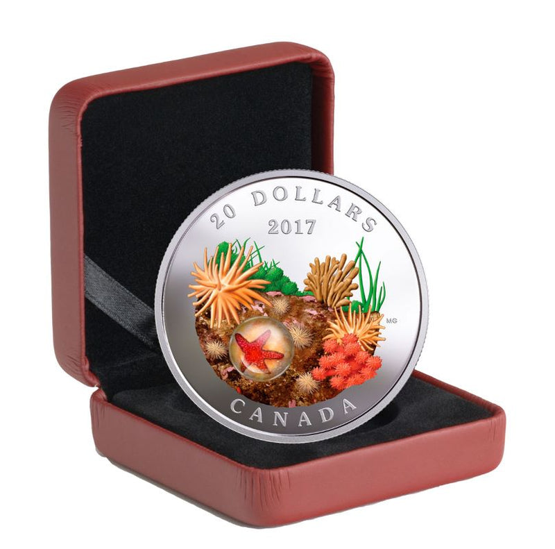 Fine Silver Coin with Colour and Glass Element - Under the Sea: Sea Star Packaging