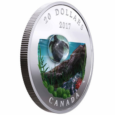 Fine Silver Coin with Colour and Glass Element - Under the Sea: Sea Turtle Edge Detail