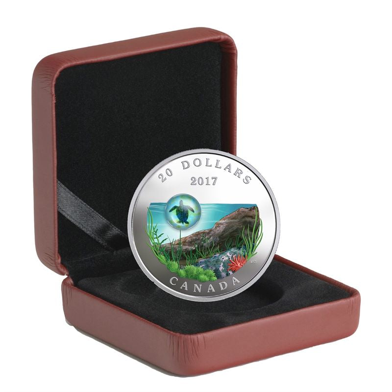 Fine Silver Coin with Colour and Glass Element - Under the Sea: Sea Turtle Packagaing