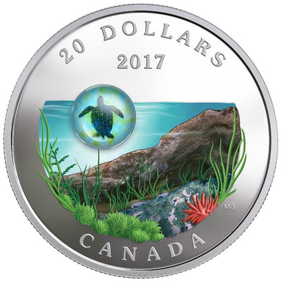 Fine Silver Coin with Colour and Glass Element - Under the Sea: Sea Turtle Reverse