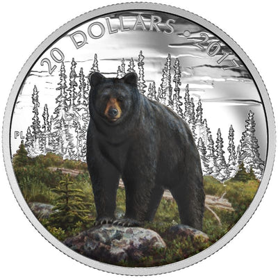 Fine Silver 5 Coin Set with Colour - Majestic Animals: The Bold Black Bear Reverse
