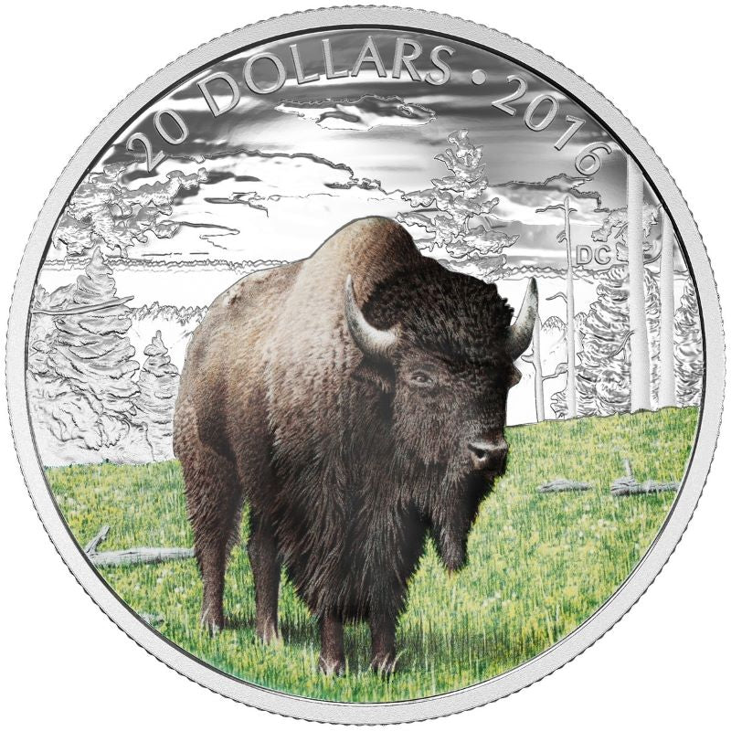 Fine Silver 5 Coin Set with Colour - Majestic Animals: The Benevolent Bison Reverse