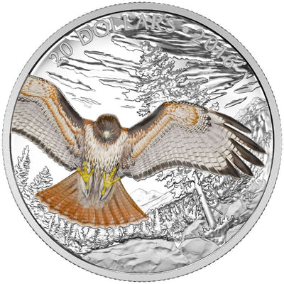 Fine Silver 5 Coin Set with Colour - Majestic Animals: The Regal Red-Tailed Hawk Reverse