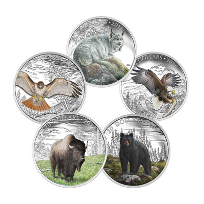 Fine Silver 5 Coin Set with Colour - Majestic Animals Reverse