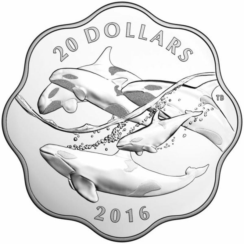 Fine Silver Coin - Master of the Sea: The Orca Reverse